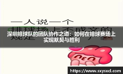 深圳排球队的团队协作之道：如何在排球赛场上实现默契与胜利